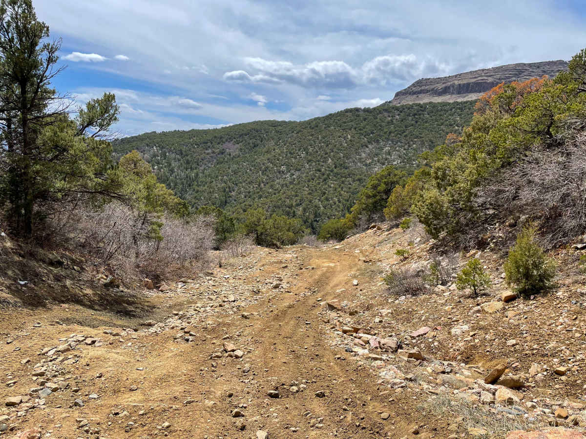 Tiger Trail photo 3