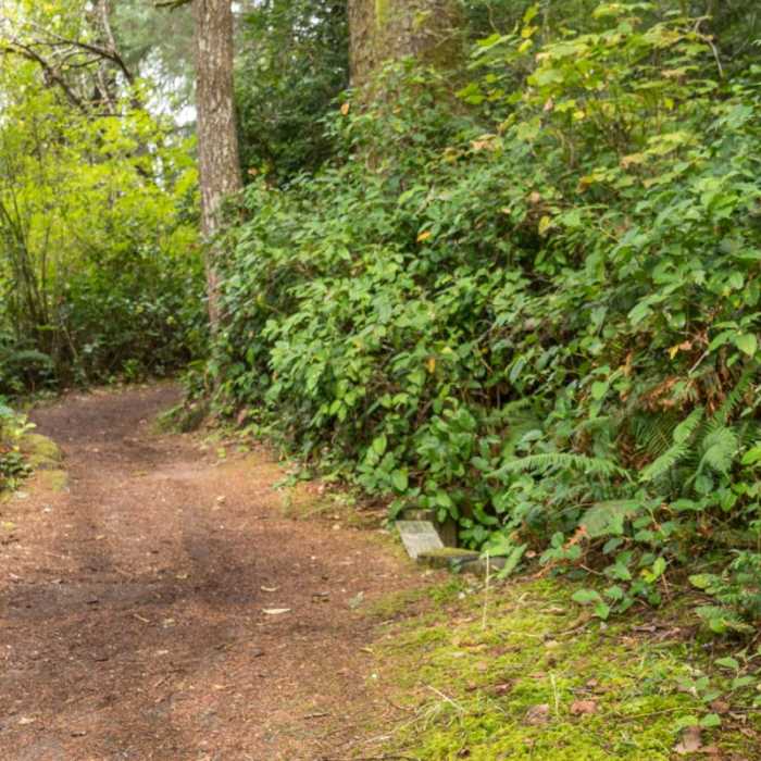 Near Eel Lake Trail Hike
