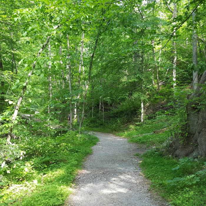Cumberland Gap Near Cumberland Gap Out-and-Back