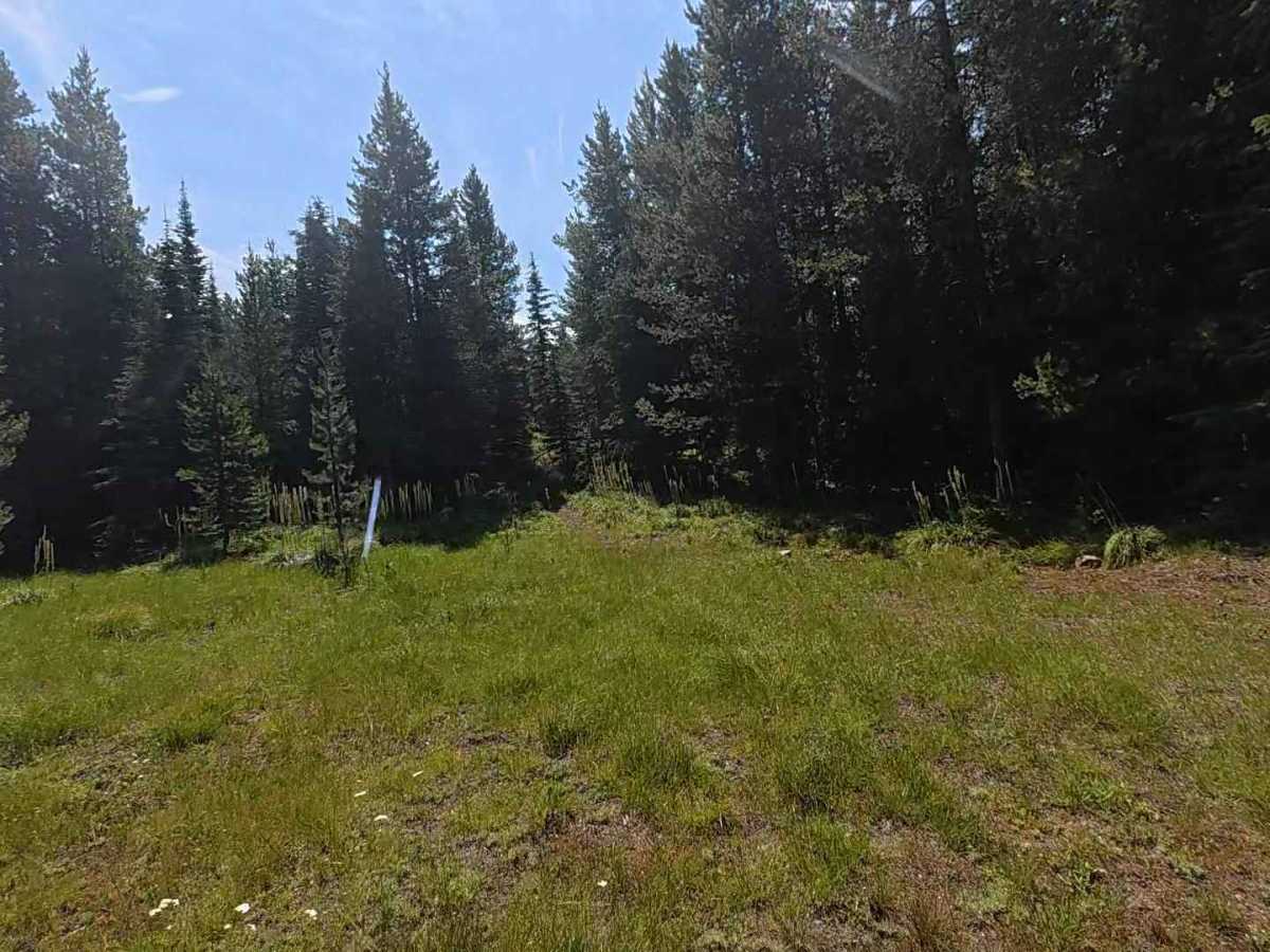 Cross Country East - FS 510 trail photo