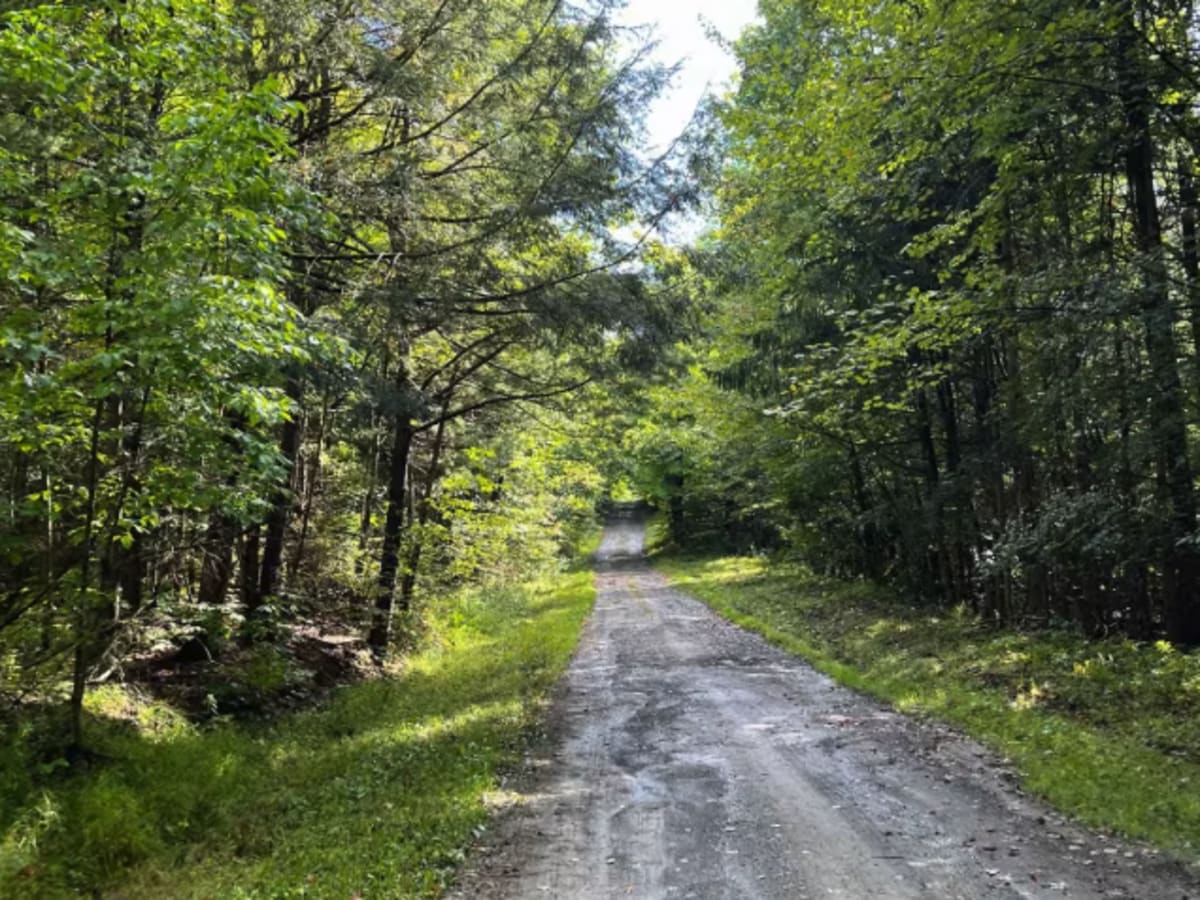 Connecticut Hill Road photo 5