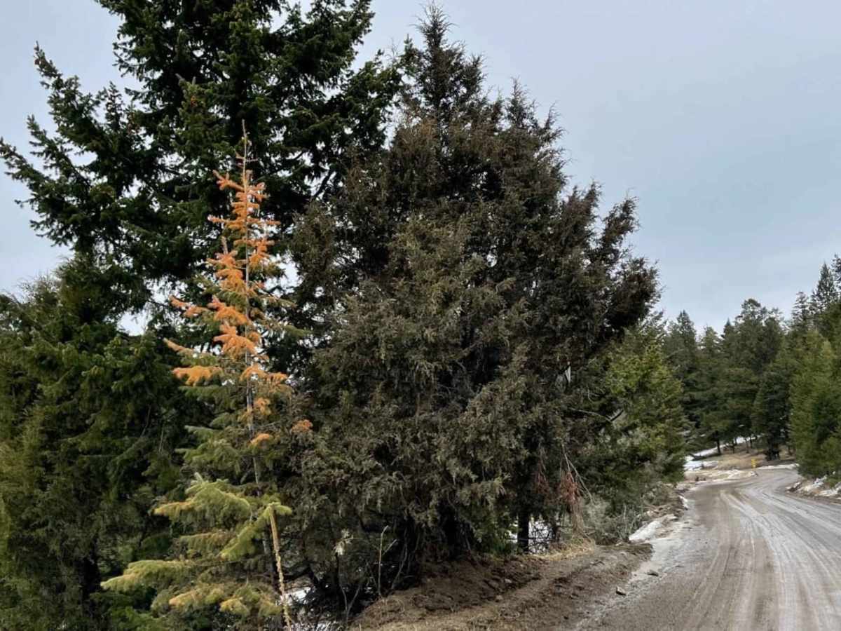 Robbin Range Road trail photo