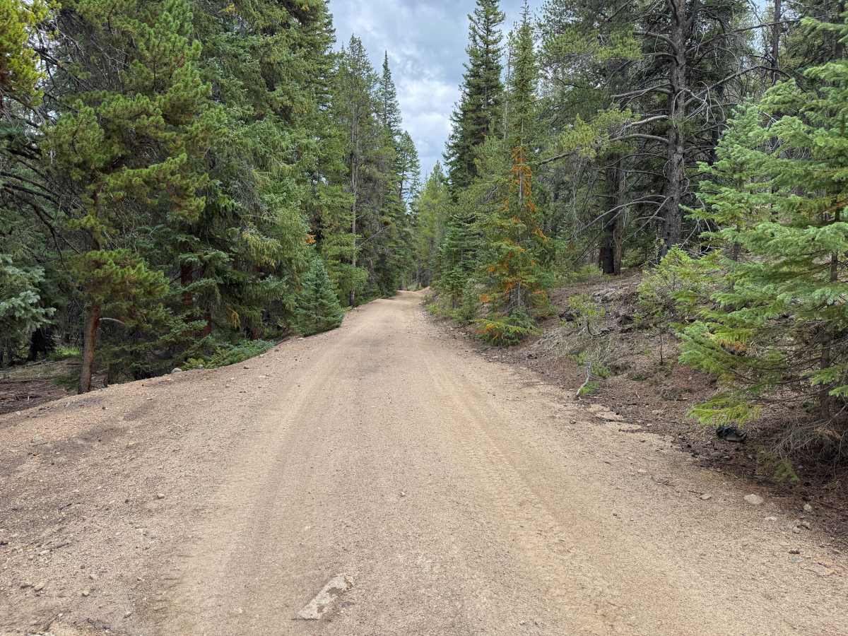 Kevin Gulch Road photo 4