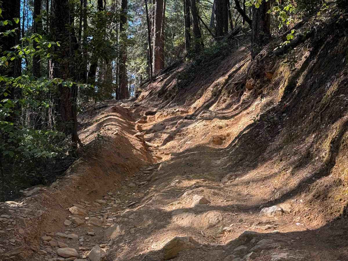 Trail 9 ATV (11E13)  photo 2