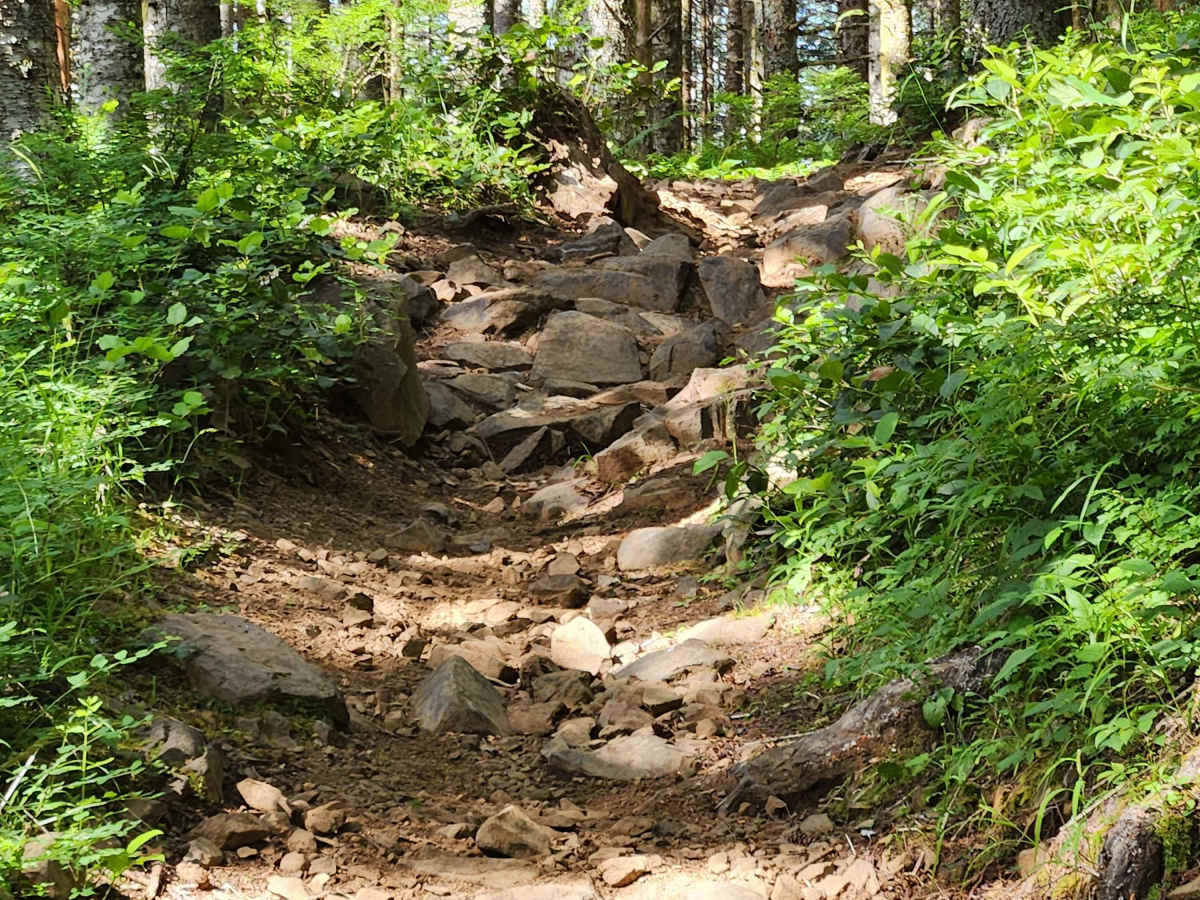 Capitol Peak photo 5