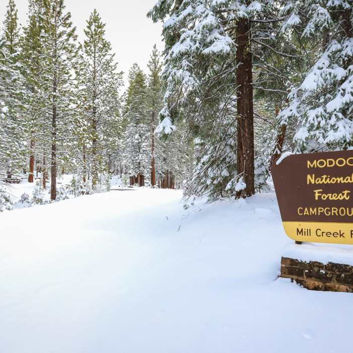 Near Mill Creek Falls