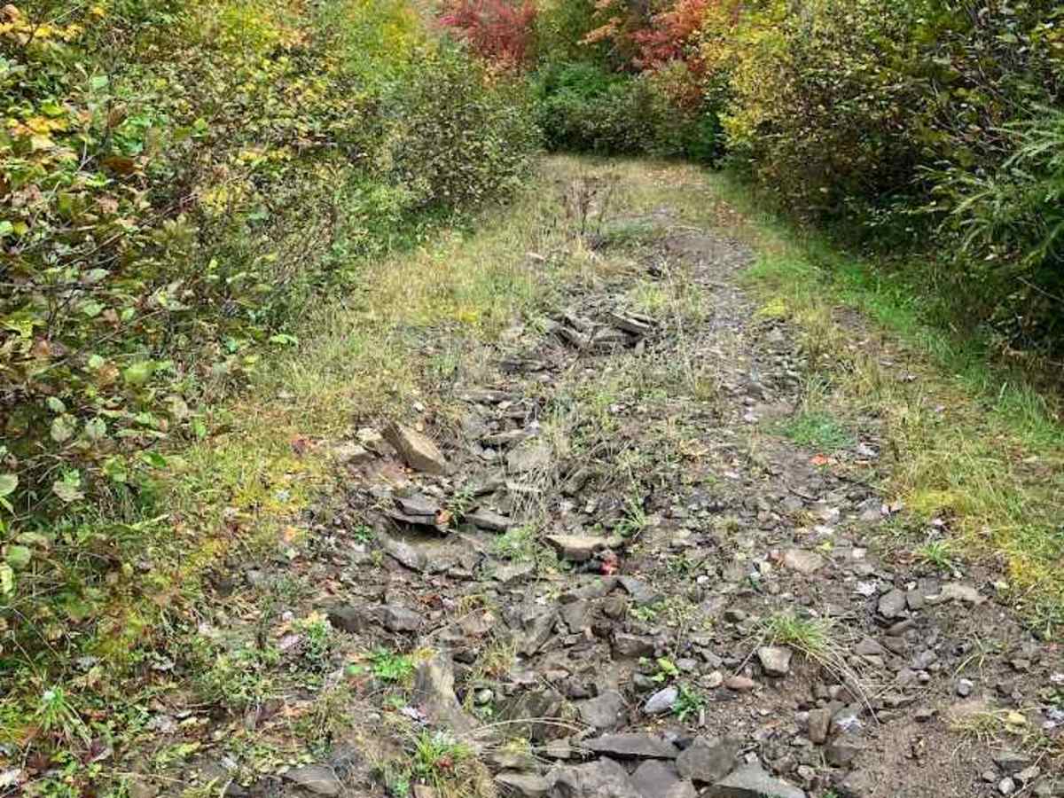 Macleod Road photo 2