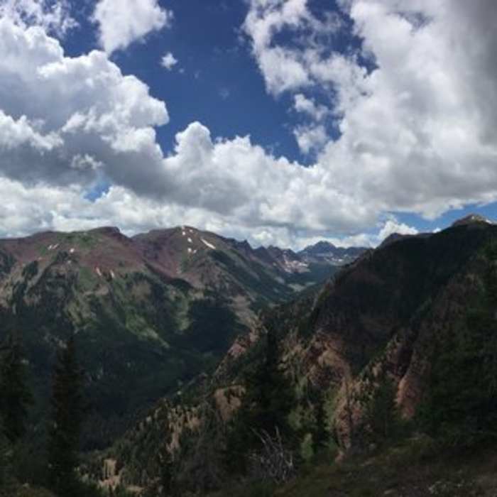 Near Summit Trail