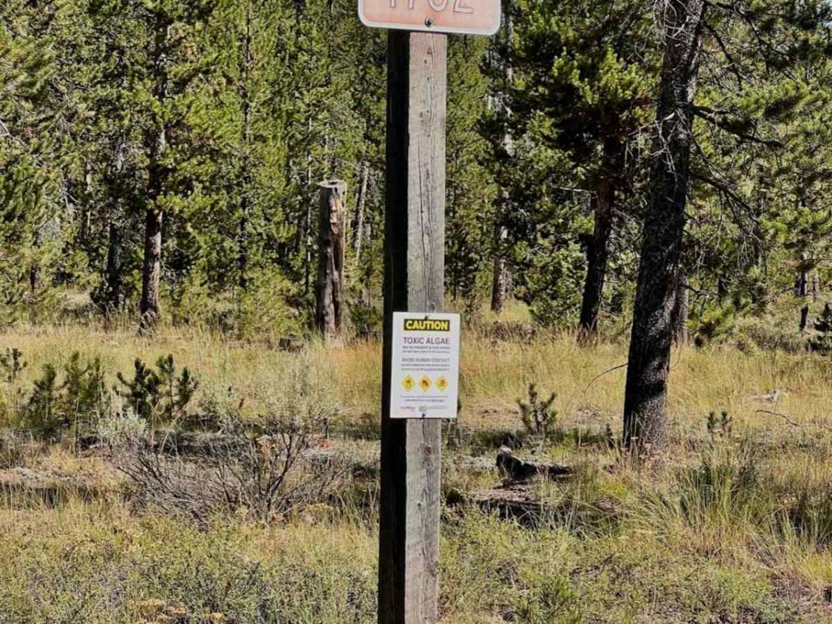 Stoddard Point photo 3
