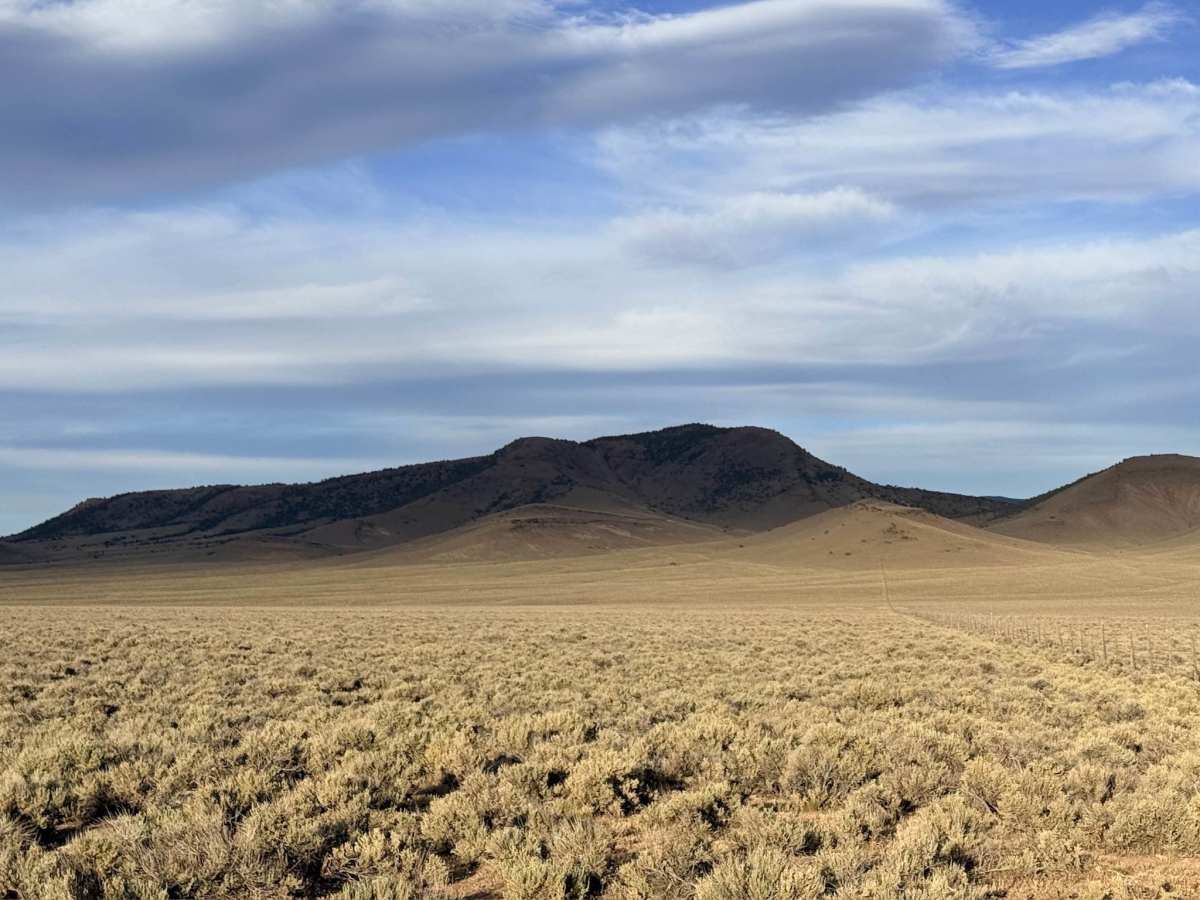 Grimes Ranch Road South photo 6