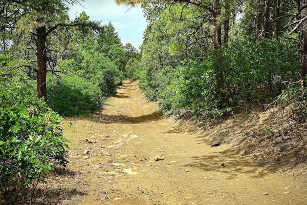 Eight Mile Mesa Rd-USFS Rd #651