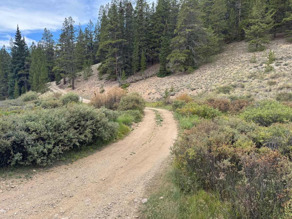 Cooper Loop photo 2