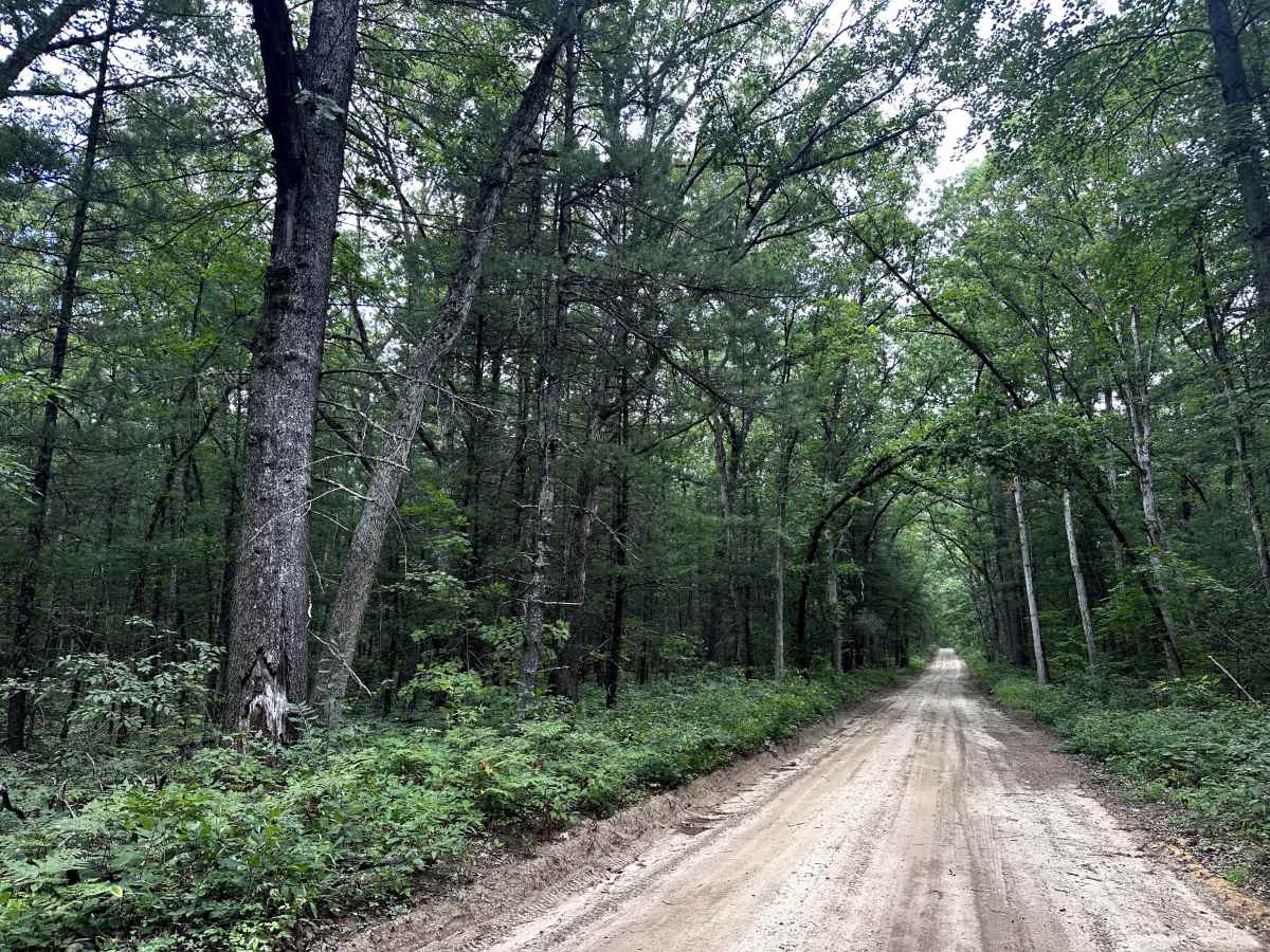 46th Street trail photo