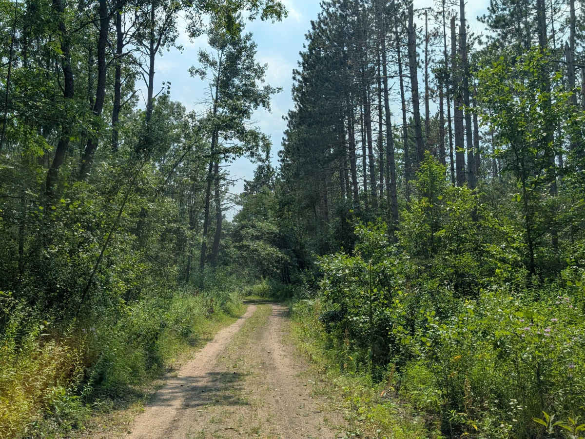 FS 4311 trail photo