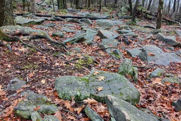 OHV 33 - Rock Run Recreation Area