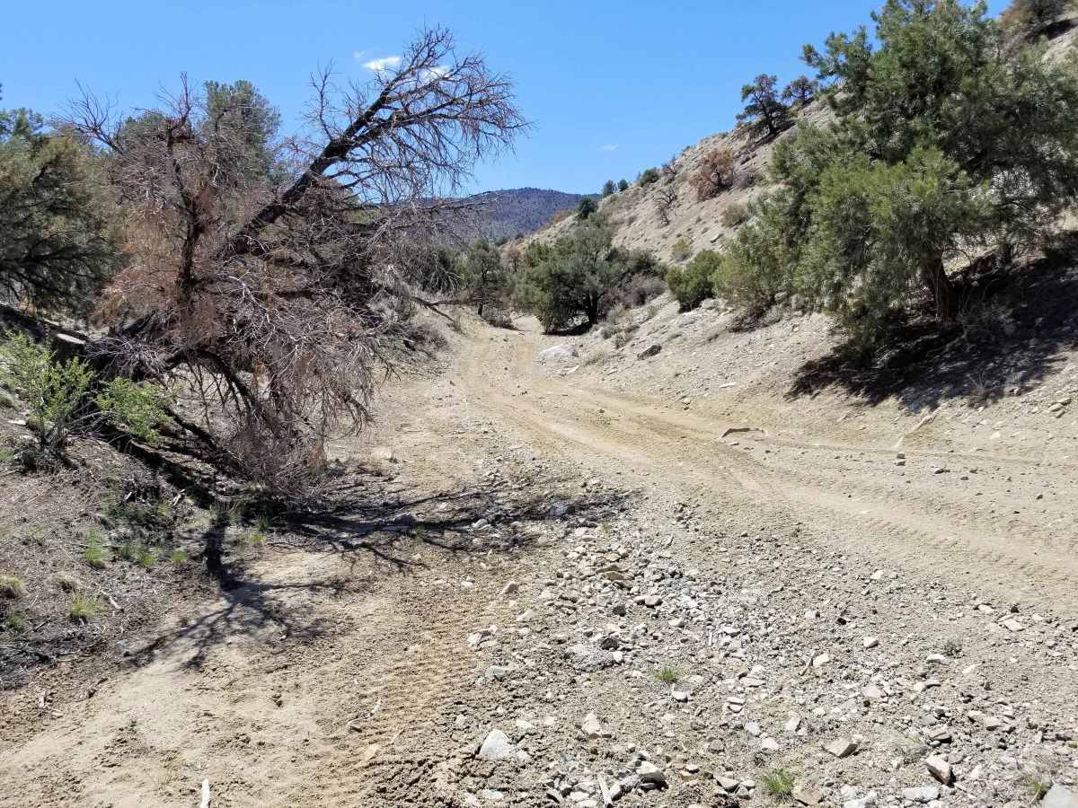 Backway to Wilson Spring Arch photo 3