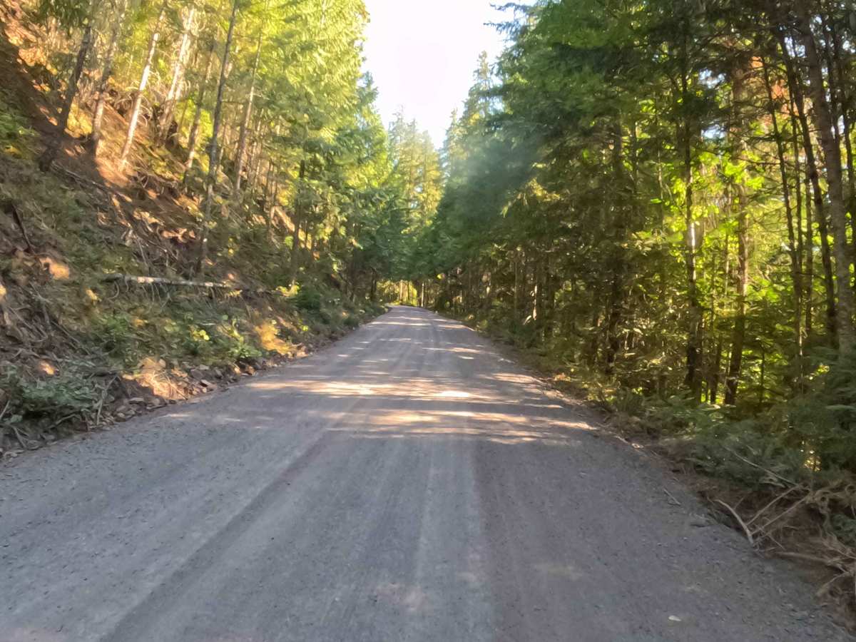 Woodpecker Ridge Rd - FS 2200040 photo 5