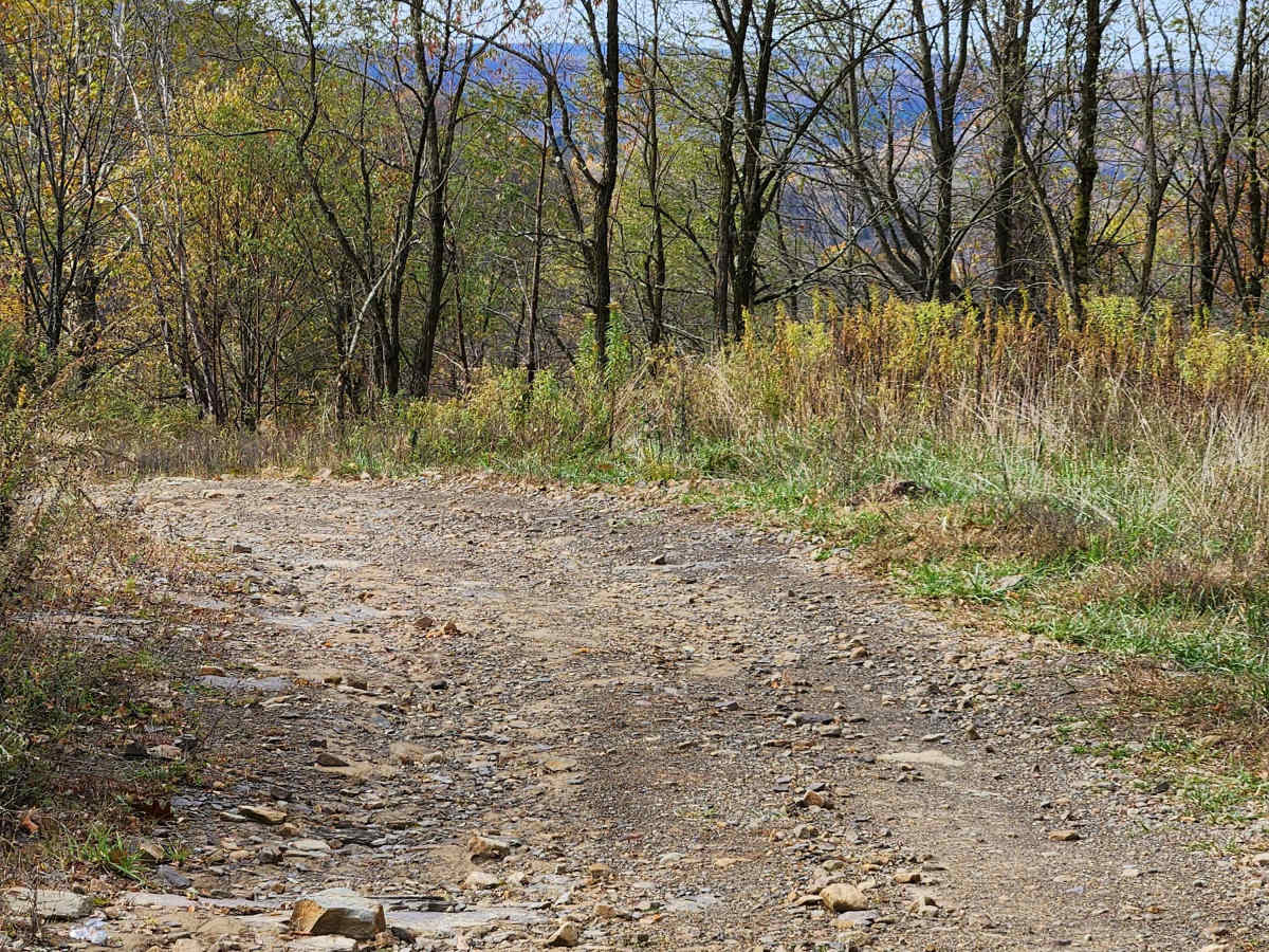 OHV 11 - Rock Run Recreation Area photo 2