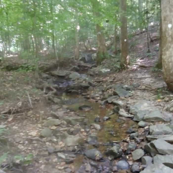 Stream Near Rolling View Marina View Out-and-Back