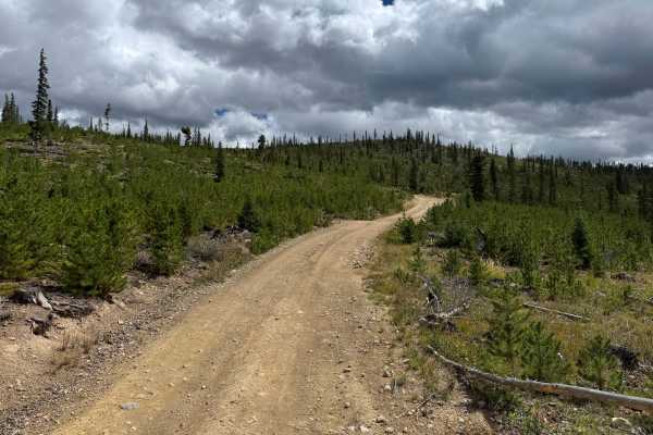 Gold Run Road