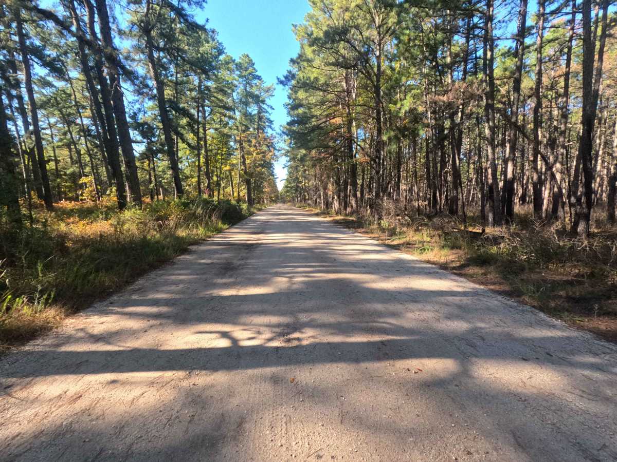 Friendship Speedwell Road trail photo