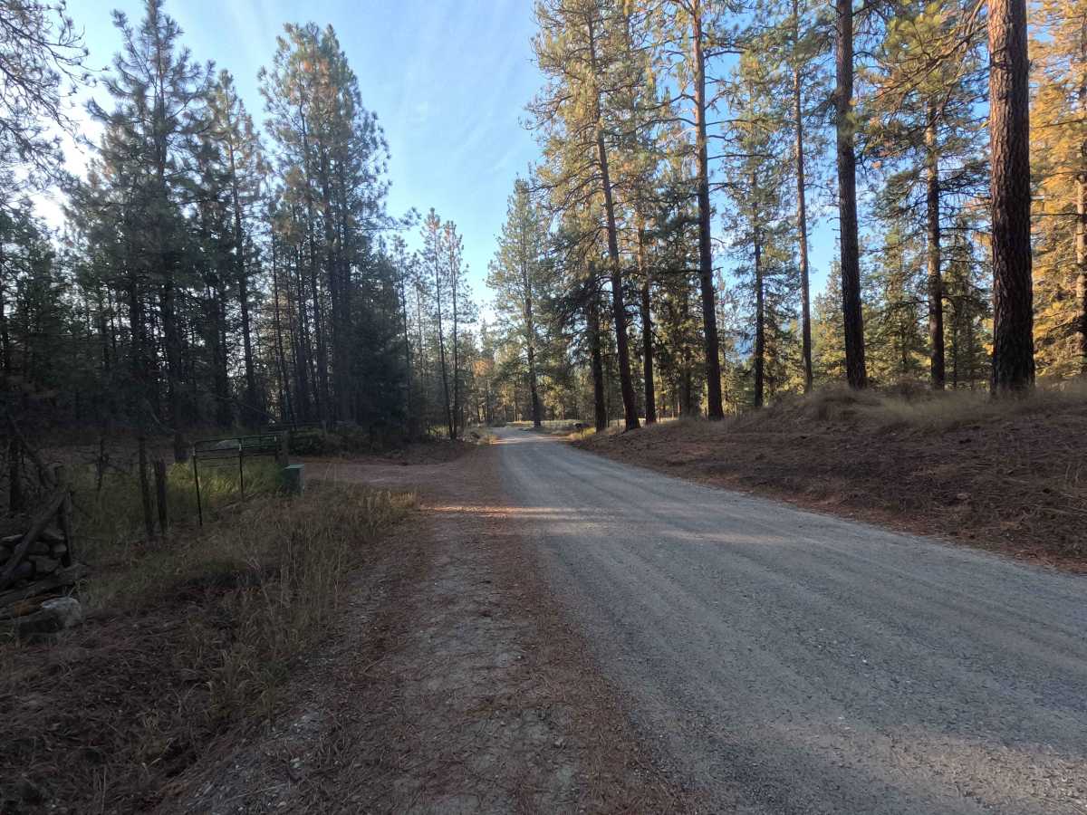 Narcisse Creek Road photo 5
