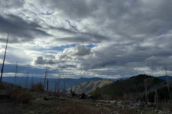 Phifer Creek Pass