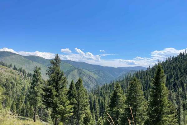 Crazy Creek Warm Springs