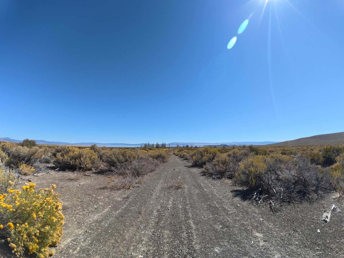 Dechambeau Pipeline photo 2