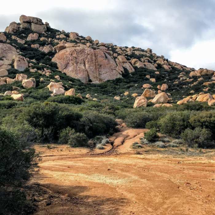 Near Lawson Peak Trail