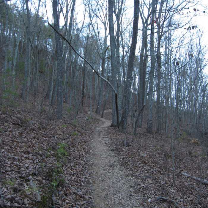Near Pinhoti Trail: Section 23