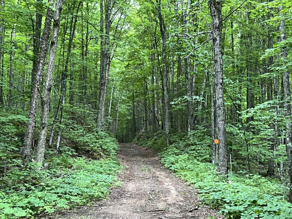 FS 2376BA trail photo