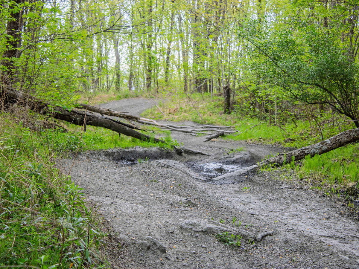S8 Trail photo 5