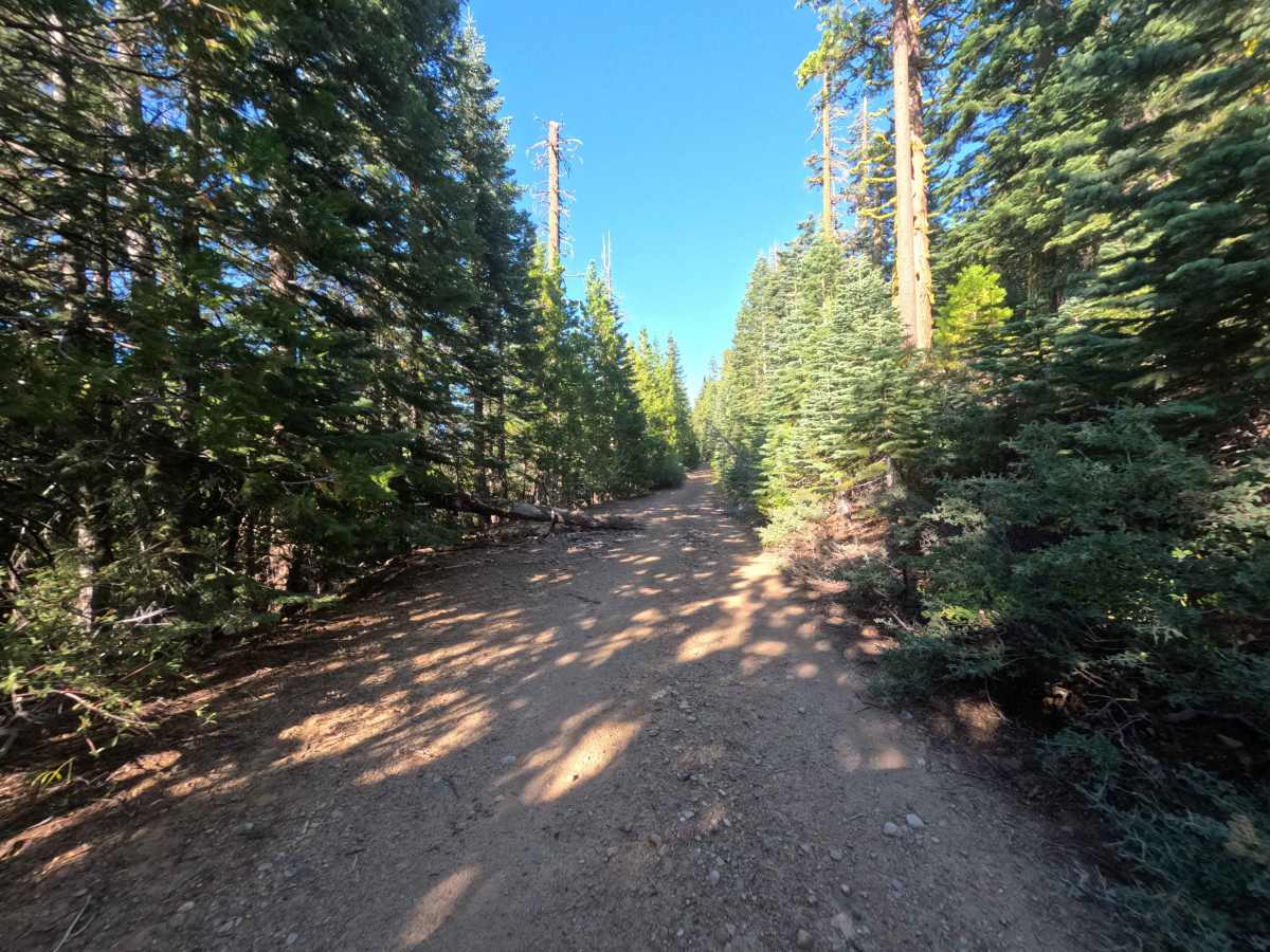 FS 7N56Y photo 4