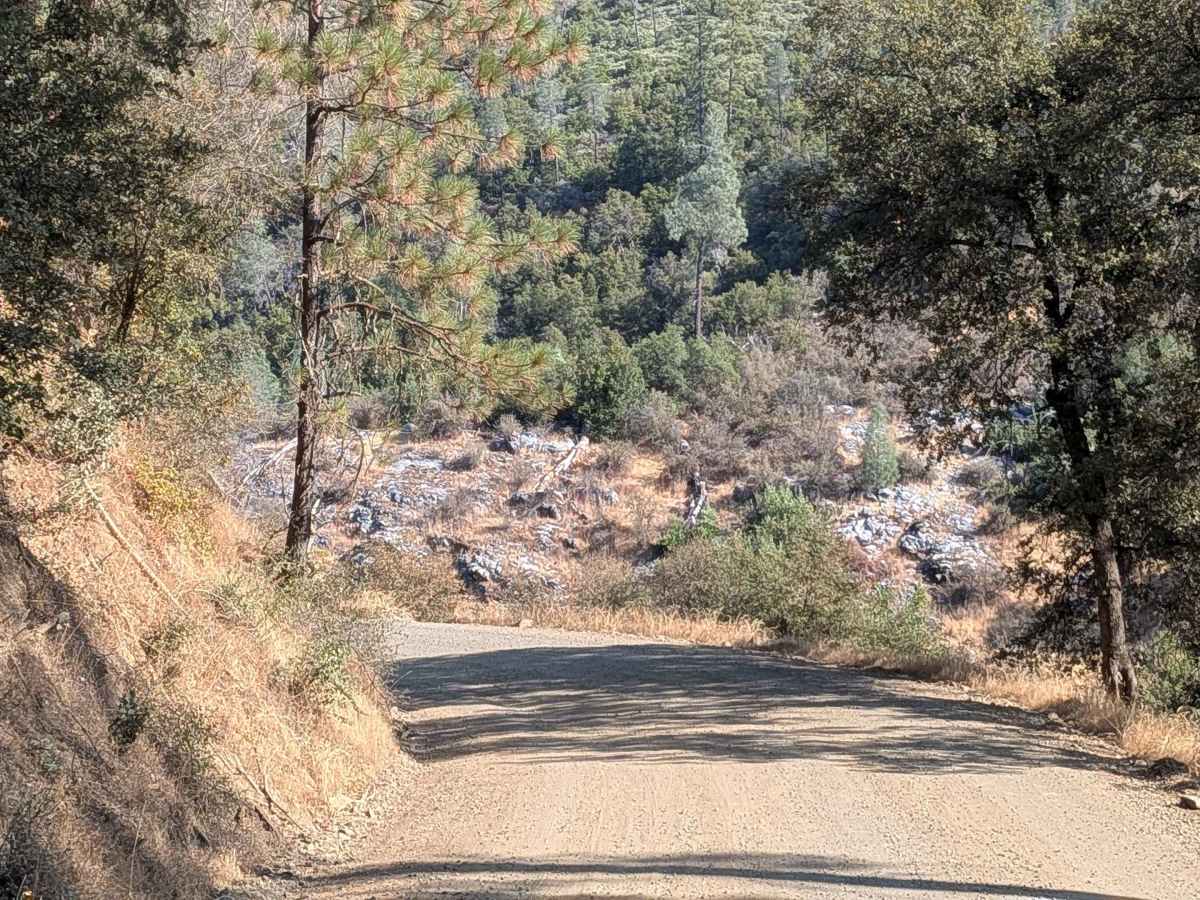 Bull Creek Road North trail photo