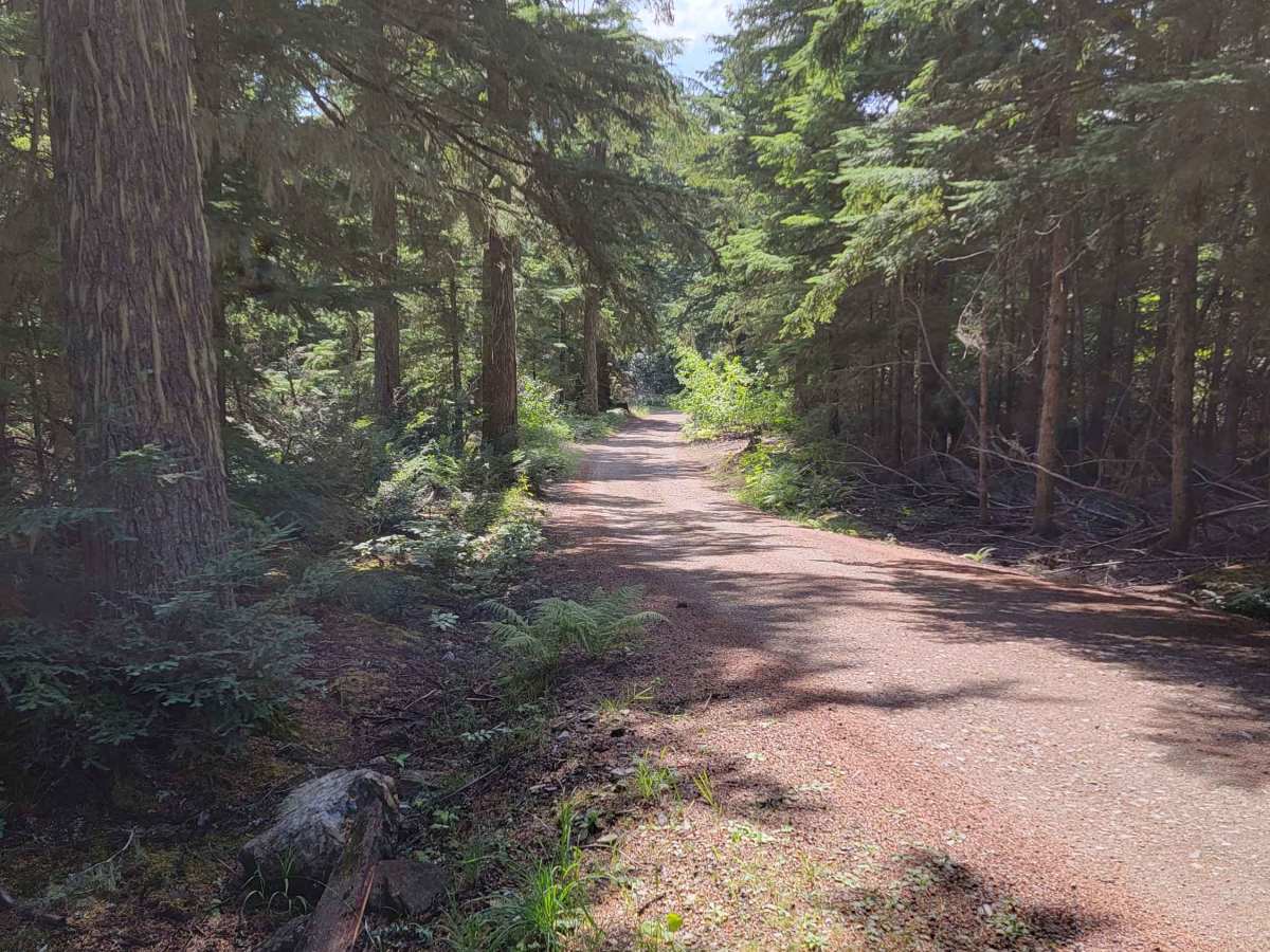 Strawberry Lake Trail photo 2