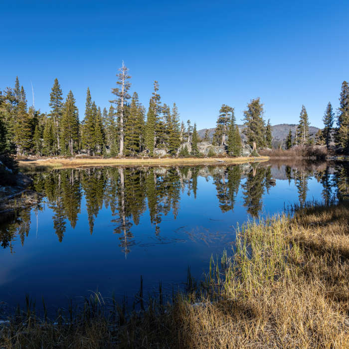 Near Triangle Lake Trail (#17E10A)