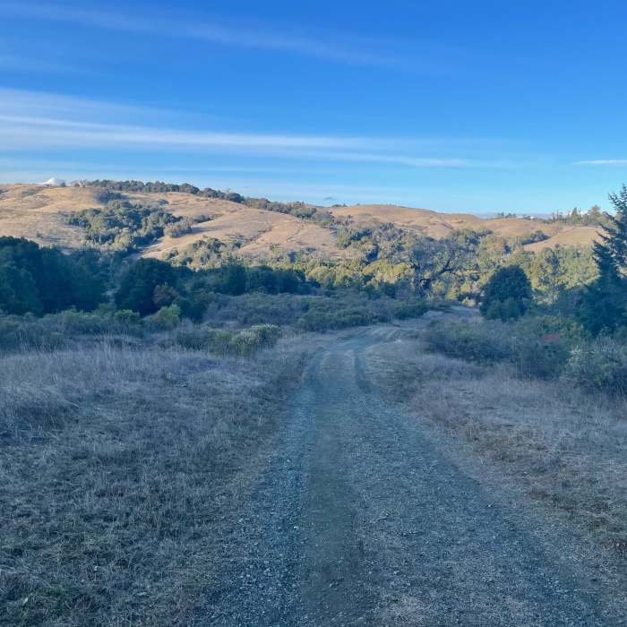 Near Bay Area Ridge Trail: Skyline Ridge and Russian Ridge OSPs