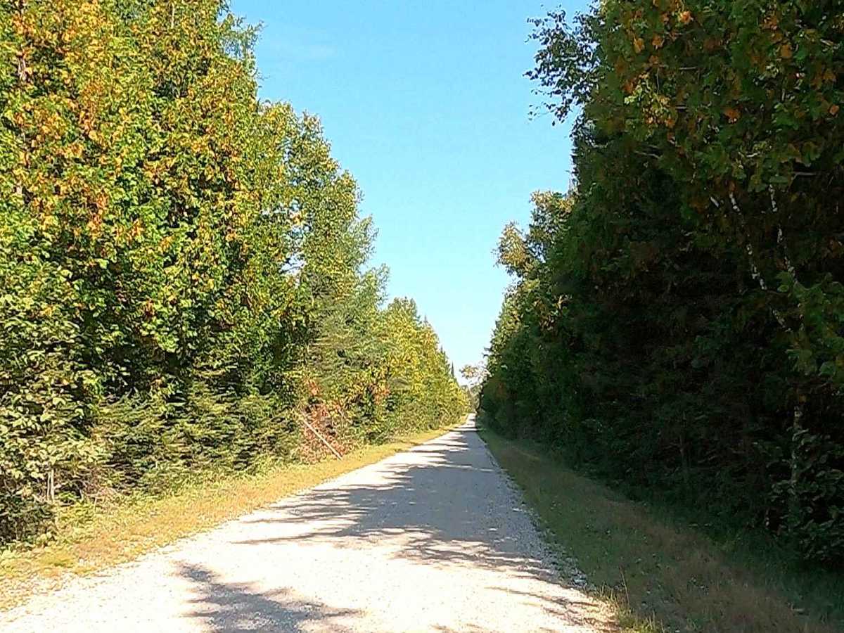 North Service Road - FS 3425 photo 4