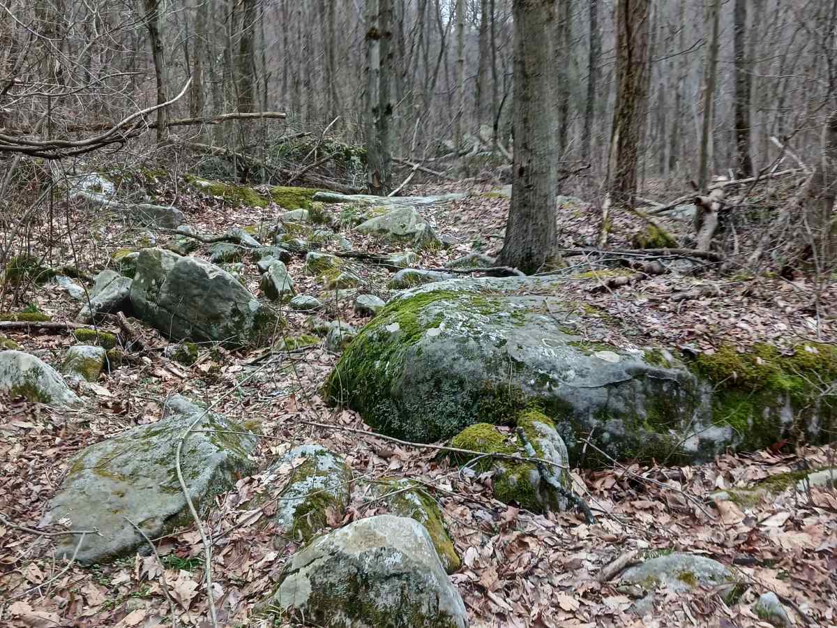 OHV 62 - Rock Run Recreation Area photo 5