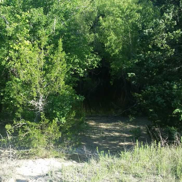 The trail often travels from sunny meadows into heavy tree cover. Near Erwin Park