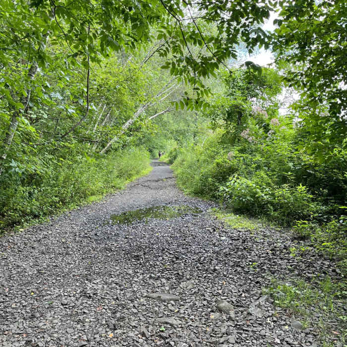 Near Ranger Loop Trail Near Ranger Loop Trail