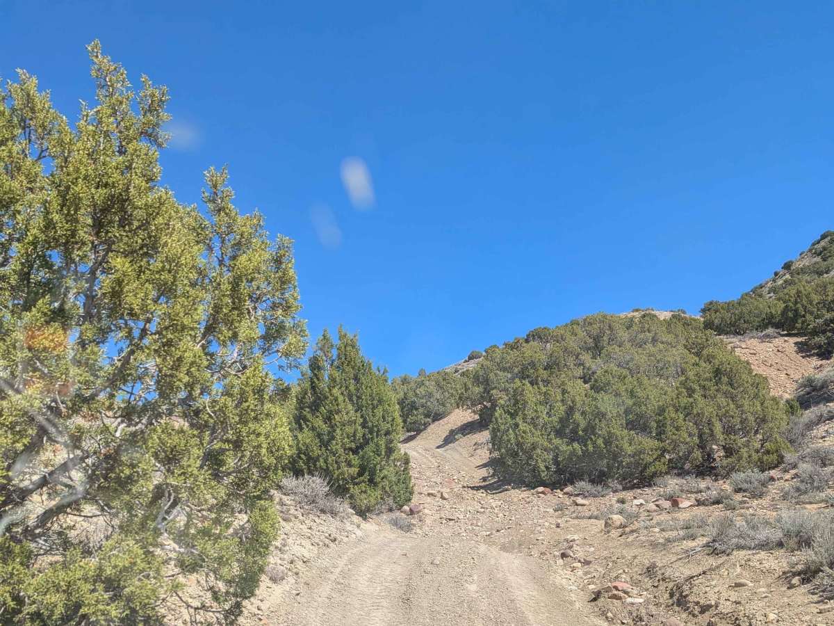 Buckskin Mountain Loop West photo 2