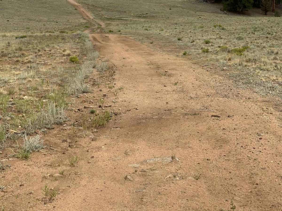 Baker Road photo 5