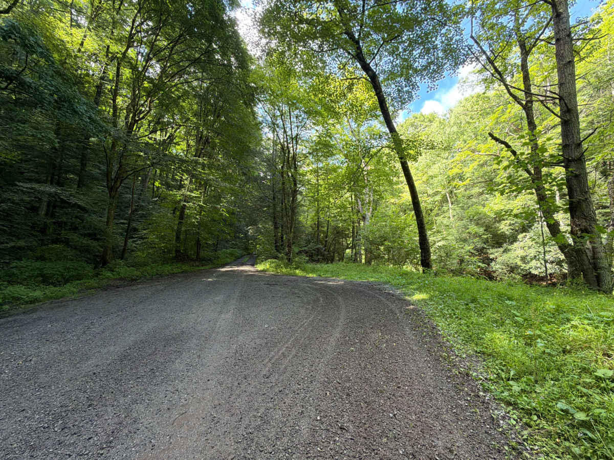 Hills Creek Road photo 6