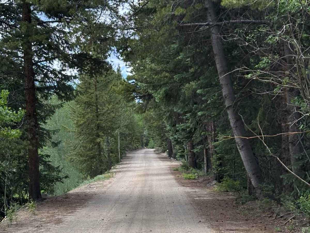 Frying Pan Road - Hell Gap photo 3