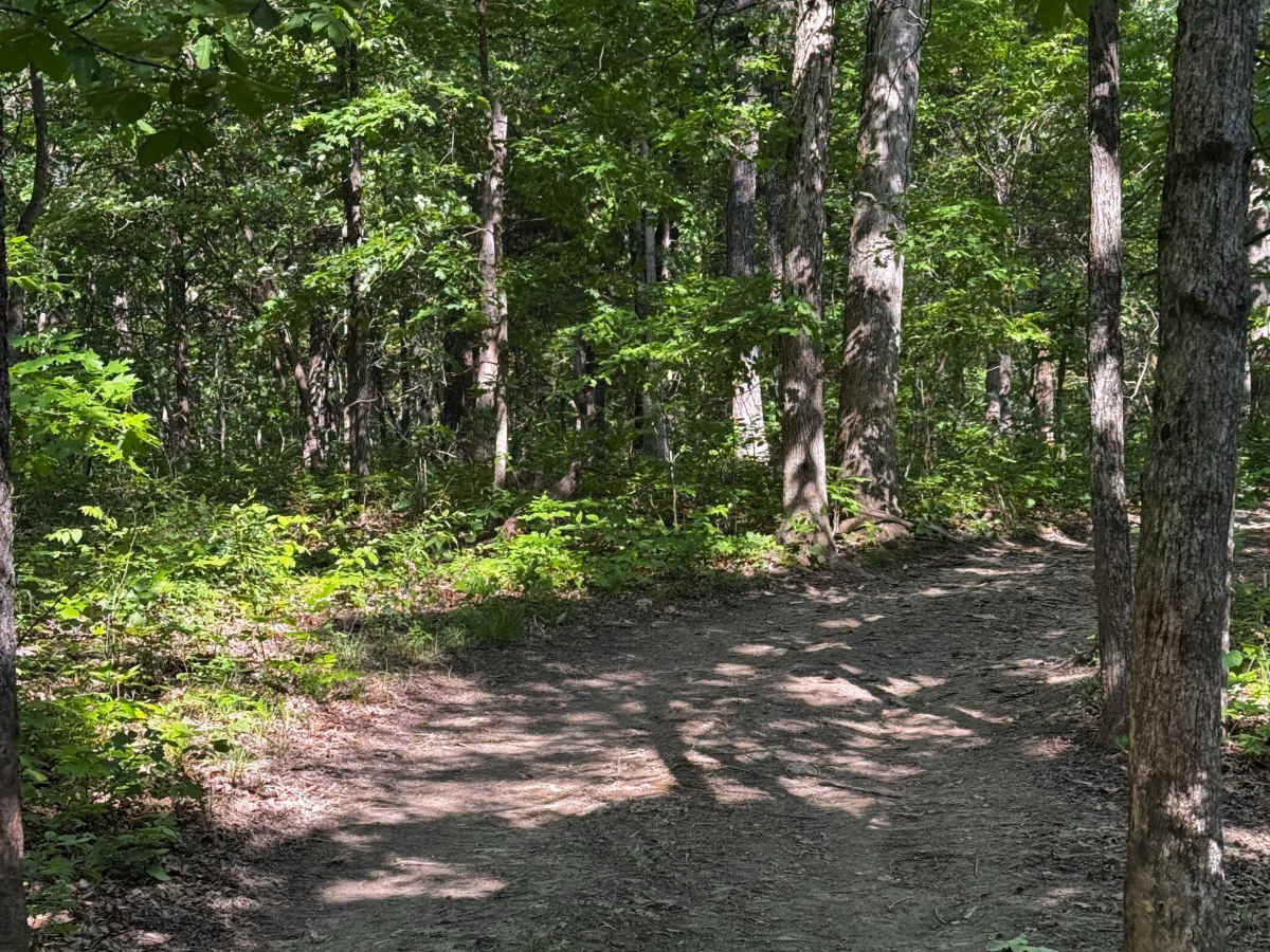 East Inner Trail 4 photo 2