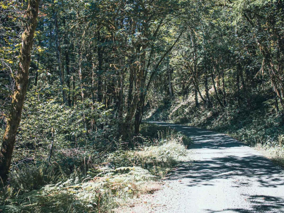 Goodman Creek photo 5