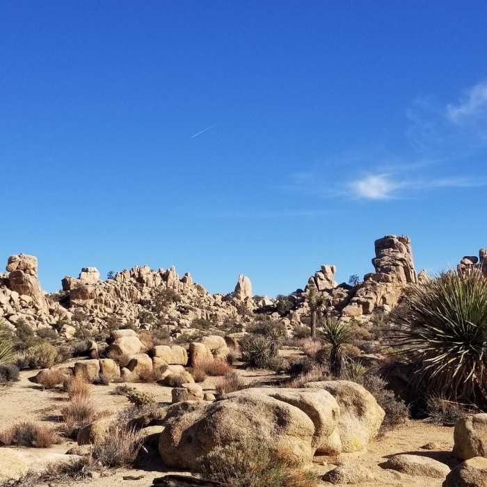 Near Hidden Valley Nature Trail