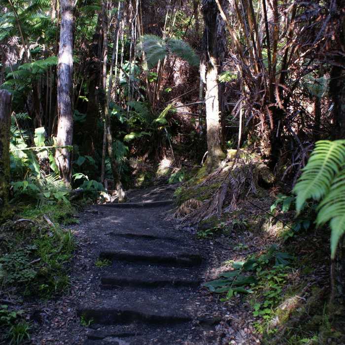 Near Kileauea Iki Trail